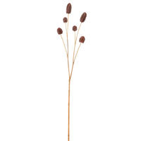 VEŠTAČKA BILJKA - braon, Osnovno, plastika (28/10/54cm)