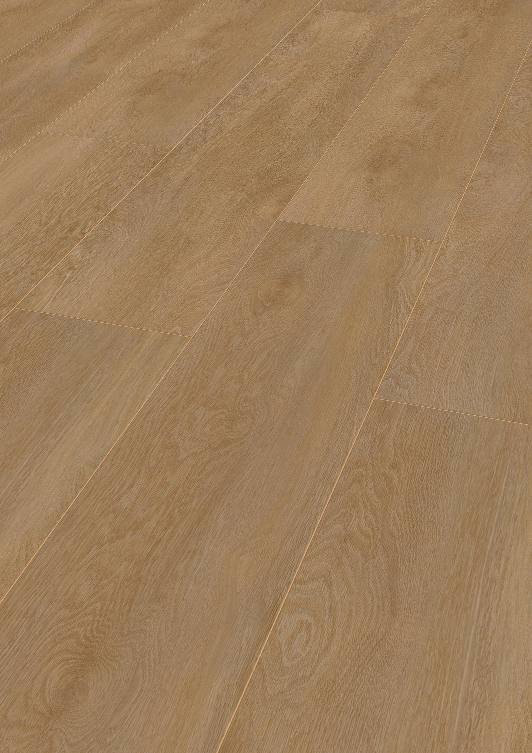 LAMINATBODEN Exquisit Plus  - Eichefarben, KONVENTIONELL, Holz (138.0/24.4/0.8cm)