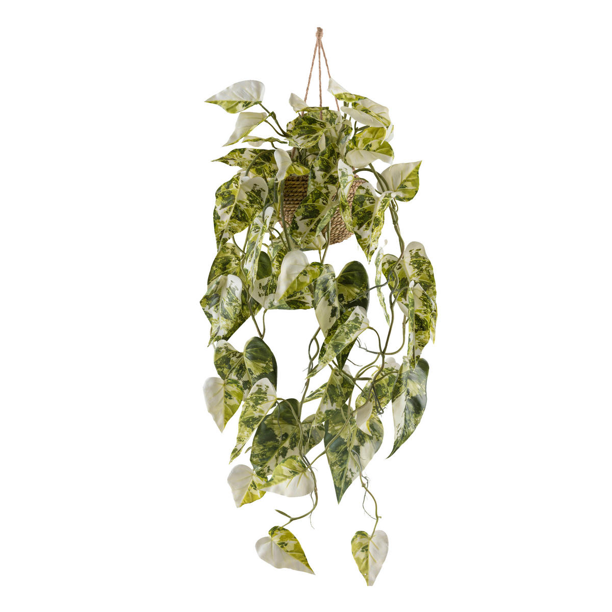 KUNSTPFLANZE 80 cm  - Naturfarben/Weiß, Design, Naturmaterialien/Kunststoff (80cm) - P & B