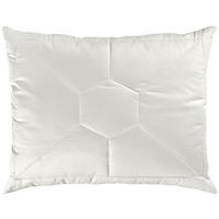 PÁRNA 50/70 cm  Klimakomfort  - Basics (50/70cm) - Sleeptex