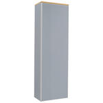 GARDEROBENSCHRANK  in 54/170/31 cm  - Eichefarben/Silberfarben, Design, Glas/Holz (54/170/31cm) - Novel