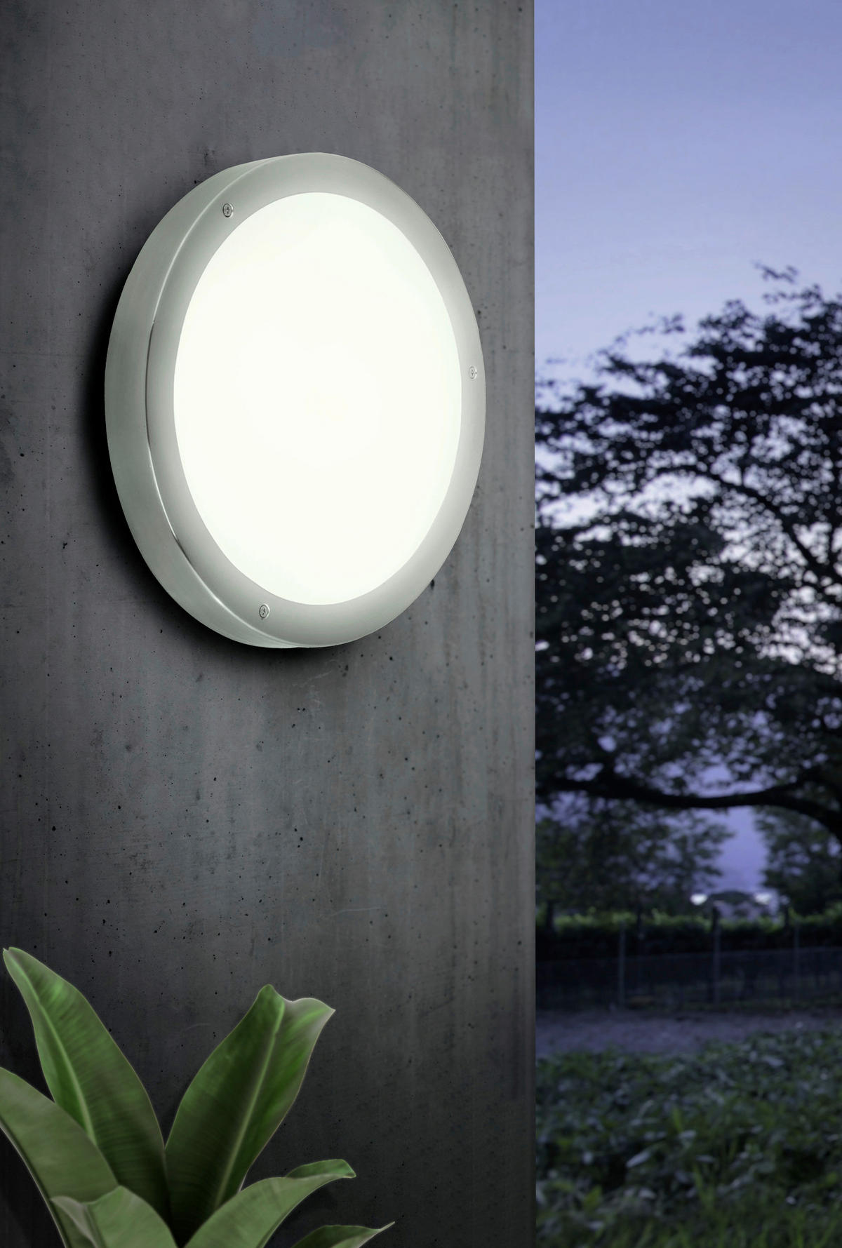 VENKOVNÍ NÁSTĚNNÉ SVÍTIDLO, 28,5/28,5/8 cm  - bílá/barvy nerez oceli, Basics, kov/sklo (28,5/28,5/8cm) - Eglo