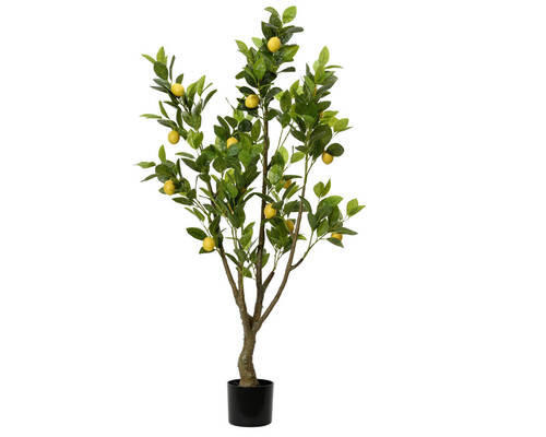 Plantă Artificială - Basics (60/48/130cm) - Ambia Home