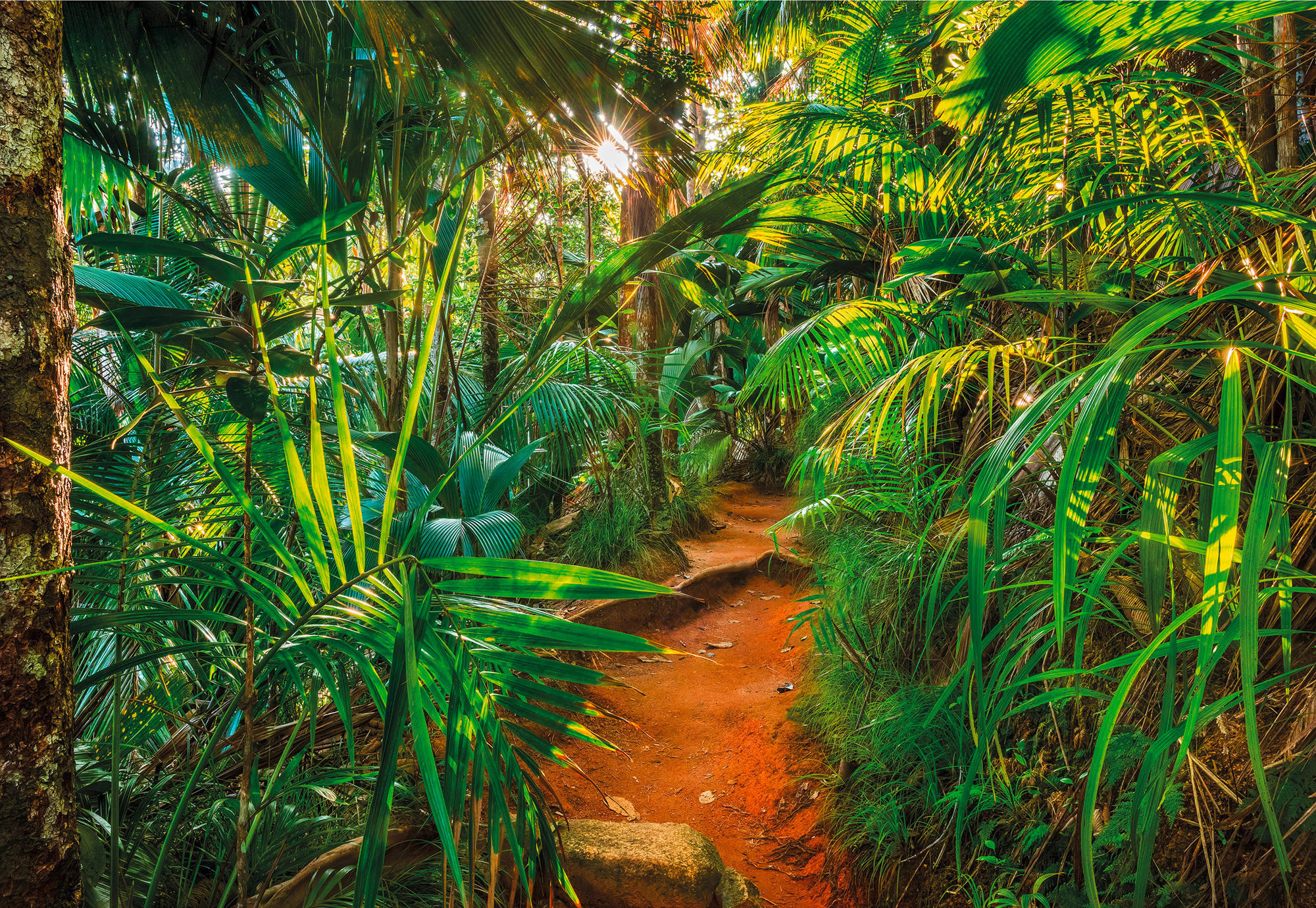 XXXL FOTOTAPETA velikost: 368/254 cm