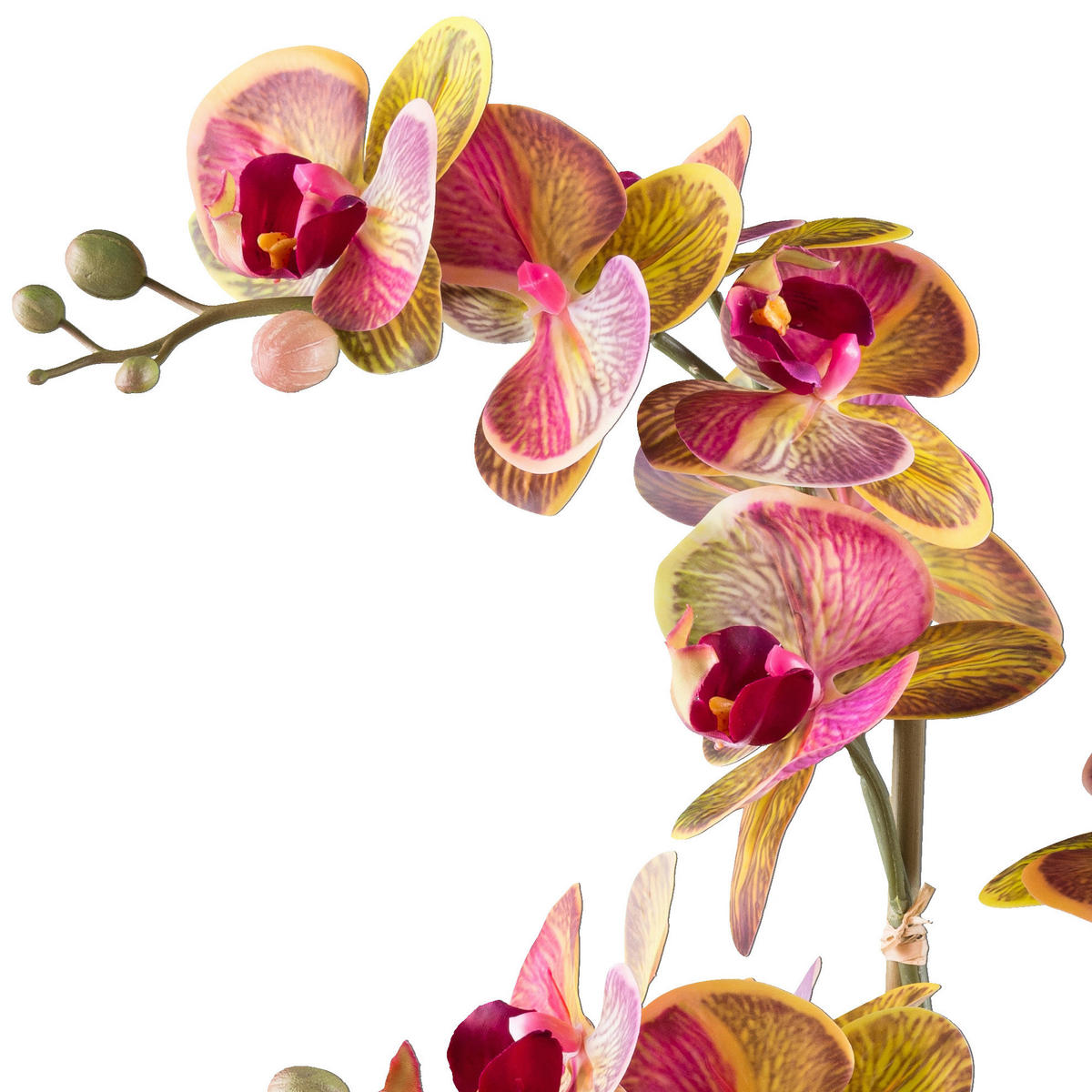 KUNSTPFLANZE Orchidee 56 cm  - Pink/Gelb, Design, Kunststoff/Stein (56cm) - P & B