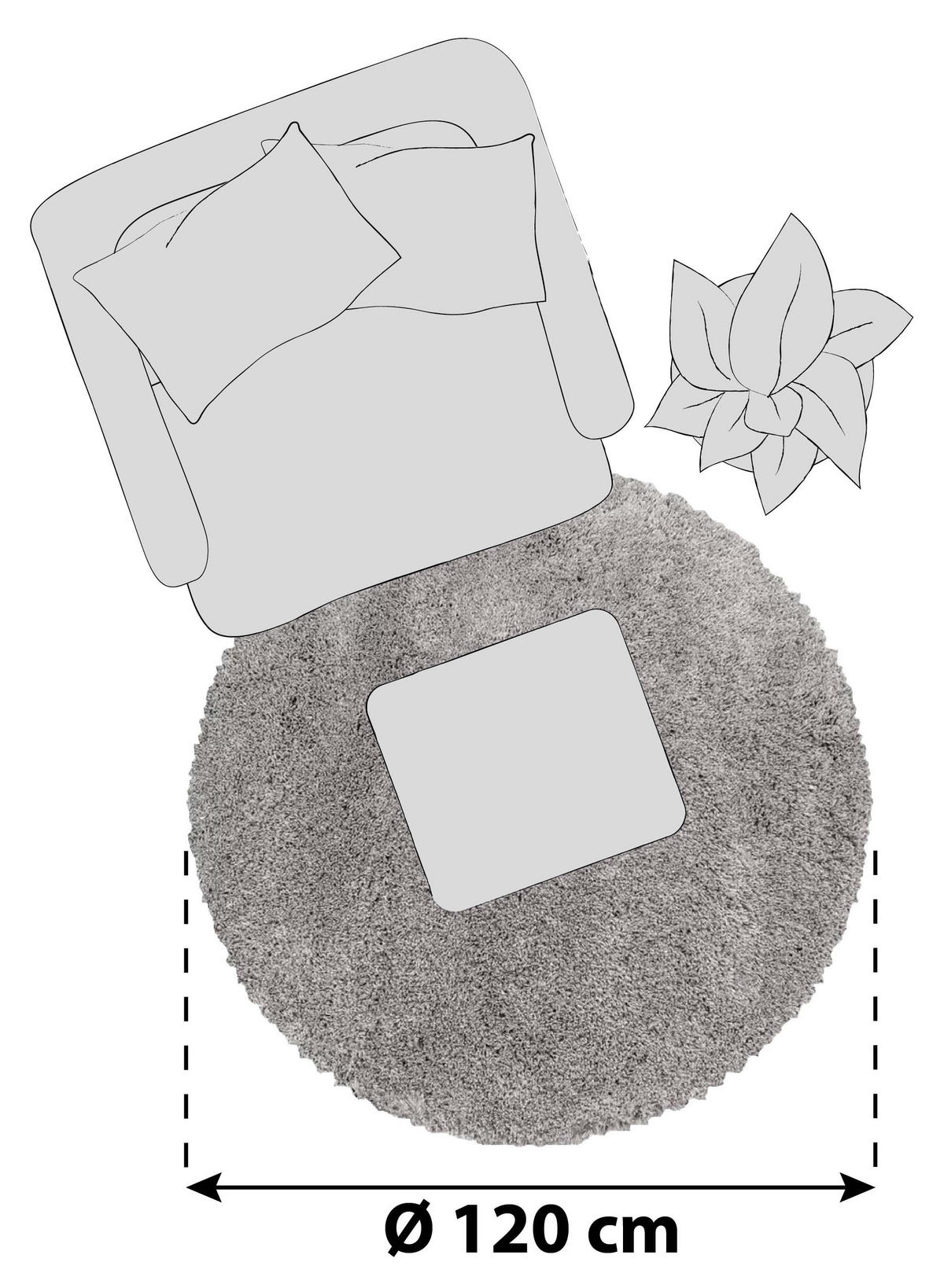 HOCHFLORTEPPICH 120 cm Fluffy 3500 Beige Beige  - Beige, Basics, Textil (120cm)