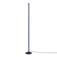 STOJACIA LED LAMPA, 3/115 cm  - čierna, Basics, kov (3/115cm)