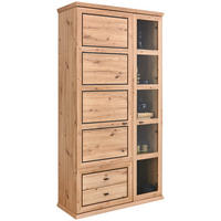 VITRINA, antracit, barve hrasta - barve hrasta/antracit, Konvencionalno, kovina/steklo (110/209/43cm) - Livetastic