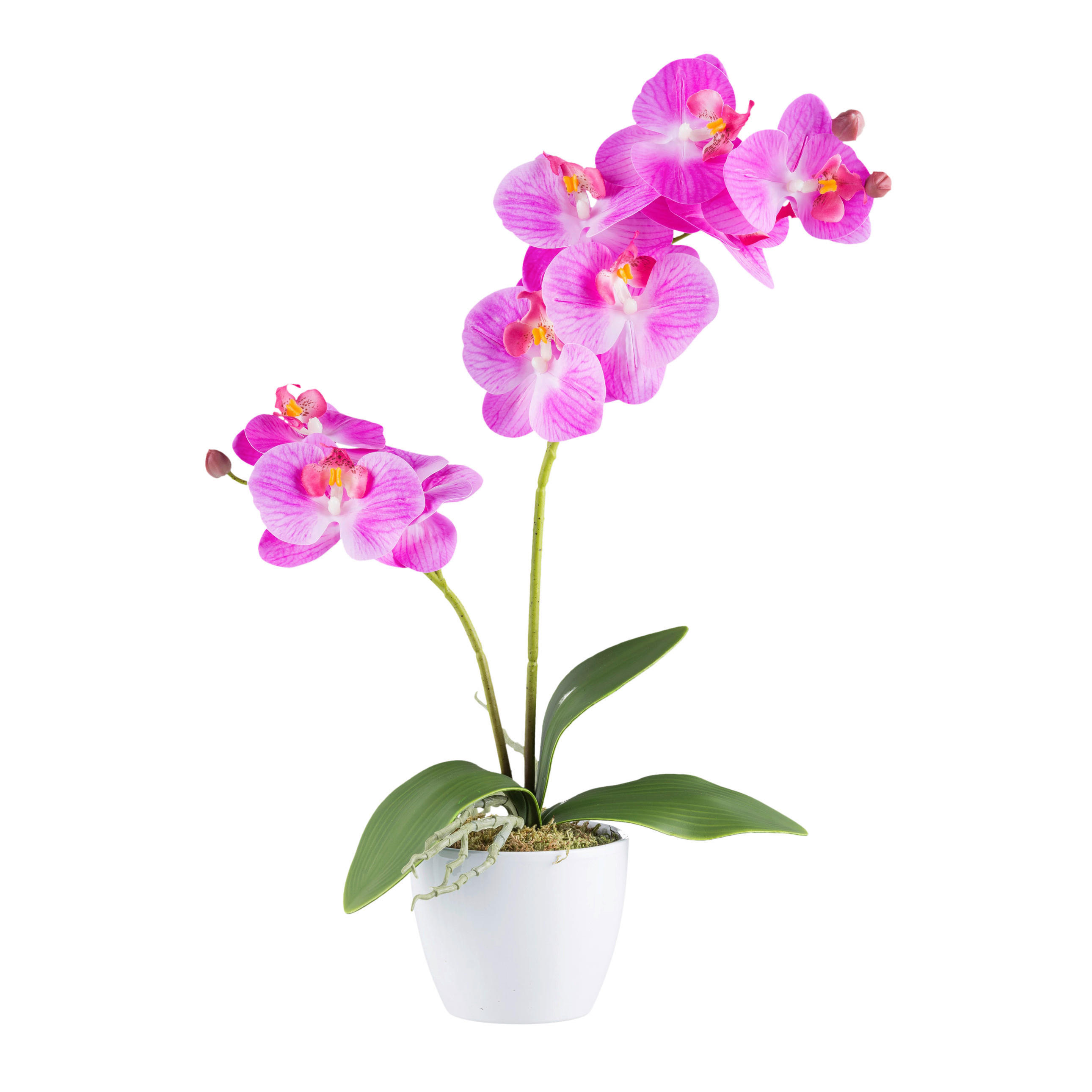 KUNSTPFLANZE Orchidee 57 cm  - Rosa/Weiß, Design, Keramik/Kunststoff (57cm) - P & B