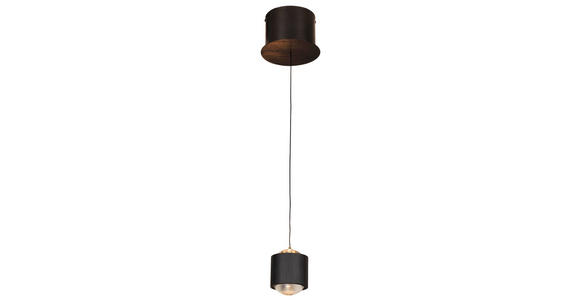 LED-HÄNGELEUCHTE 14/170 cm - Schwarz, Design, Kunststoff/Metall (14/170cm) - Novel