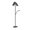 LED-STEHLEUCHTE 50/185 cm    - Anthrazit, Design, Metall (50/185cm) - Hell