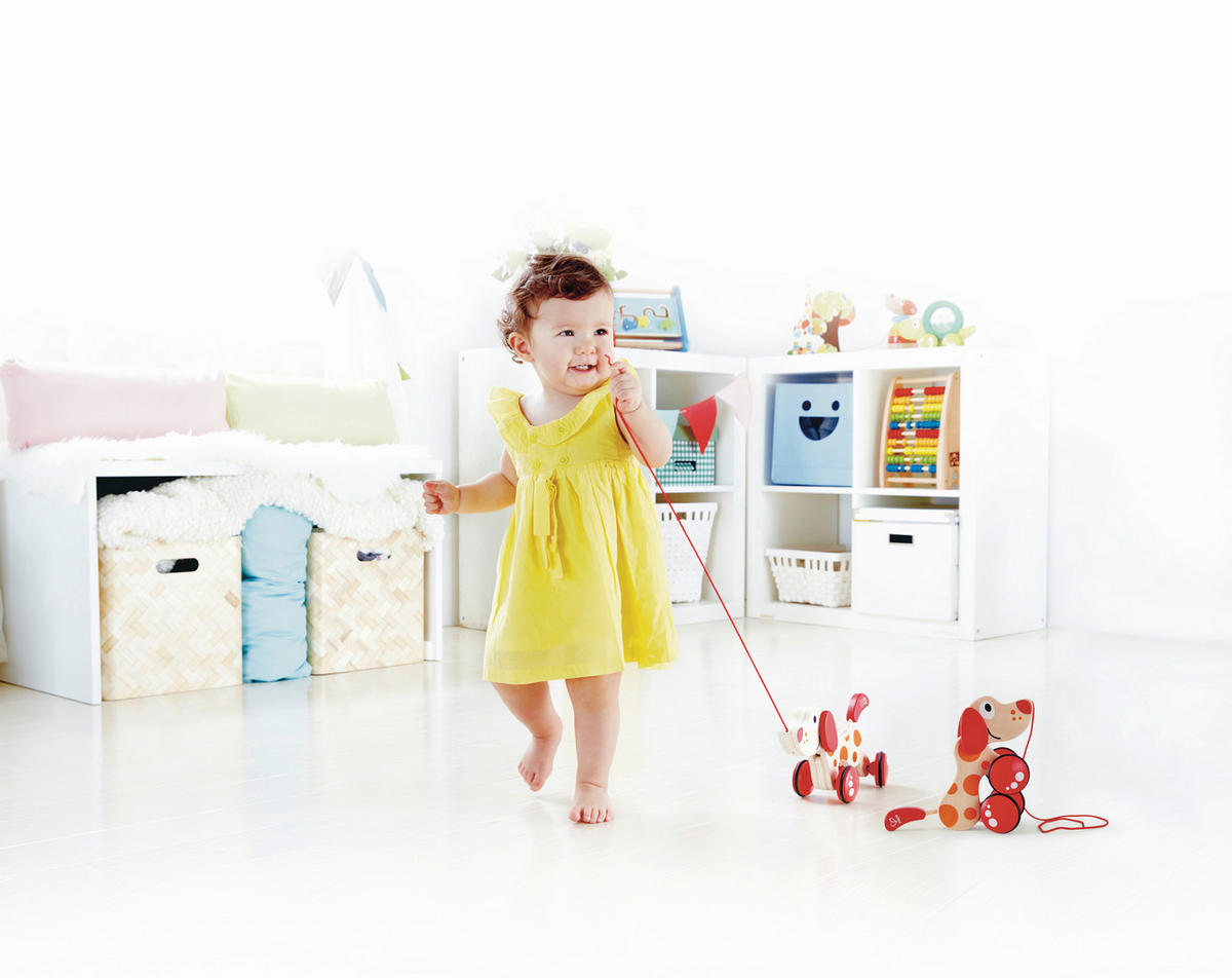 ZIEHFIGUR - Basics, Holz/Holzwerkstoff (22/16,2/9,2cm) - Hape