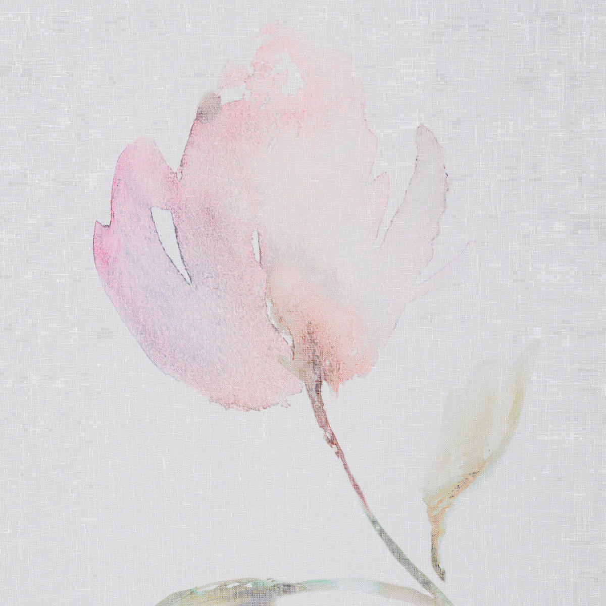 KONČANA ZAVESA  prosojno   140/245 cm  - roza/večbarvno, Konvencionalno, tekstil (140/245cm) - Esposa