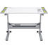JUGENDSCHREIBTISCH Limette, Silberfarben, Weiß - Limette/Silberfarben, Design, Kunststoff/Metall (120,4/53-79/70,4cm) - Paidi