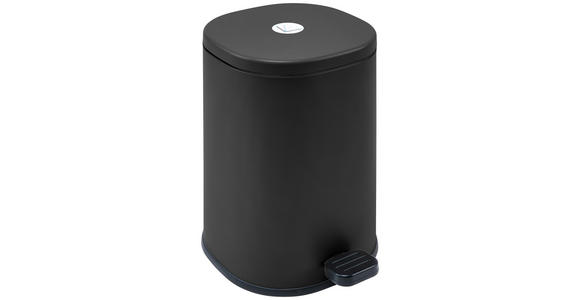 TRETEIMER 5 l  Metall, Kunststoff  - Schwarz, Trend, Kunststoff/Metall (25/31,3/20,6cm) - Homeware