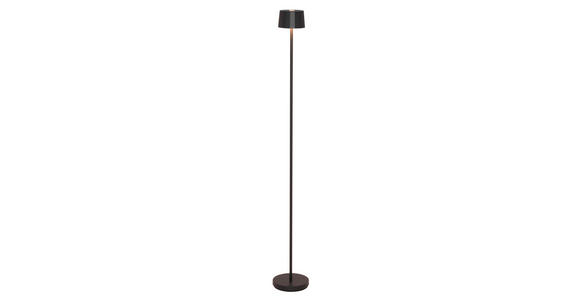 AKKU-STEHLEUCHTE 16/120 cm - Schwarz, Design, Kunststoff/Metall (16/120cm) - Dieter Knoll