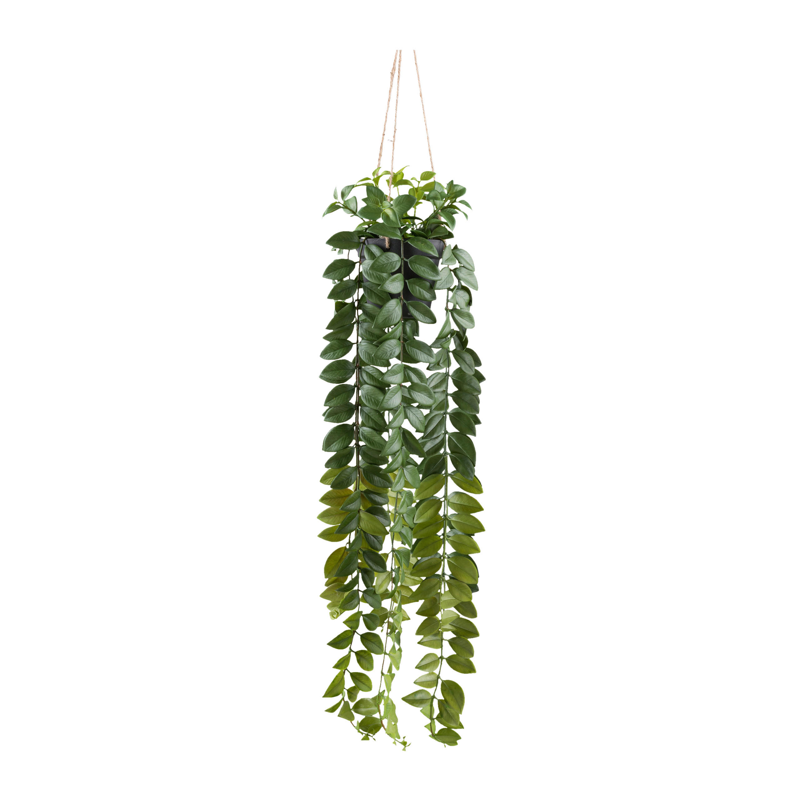 XXXLutz Kunstpflanze Grün 85 cm