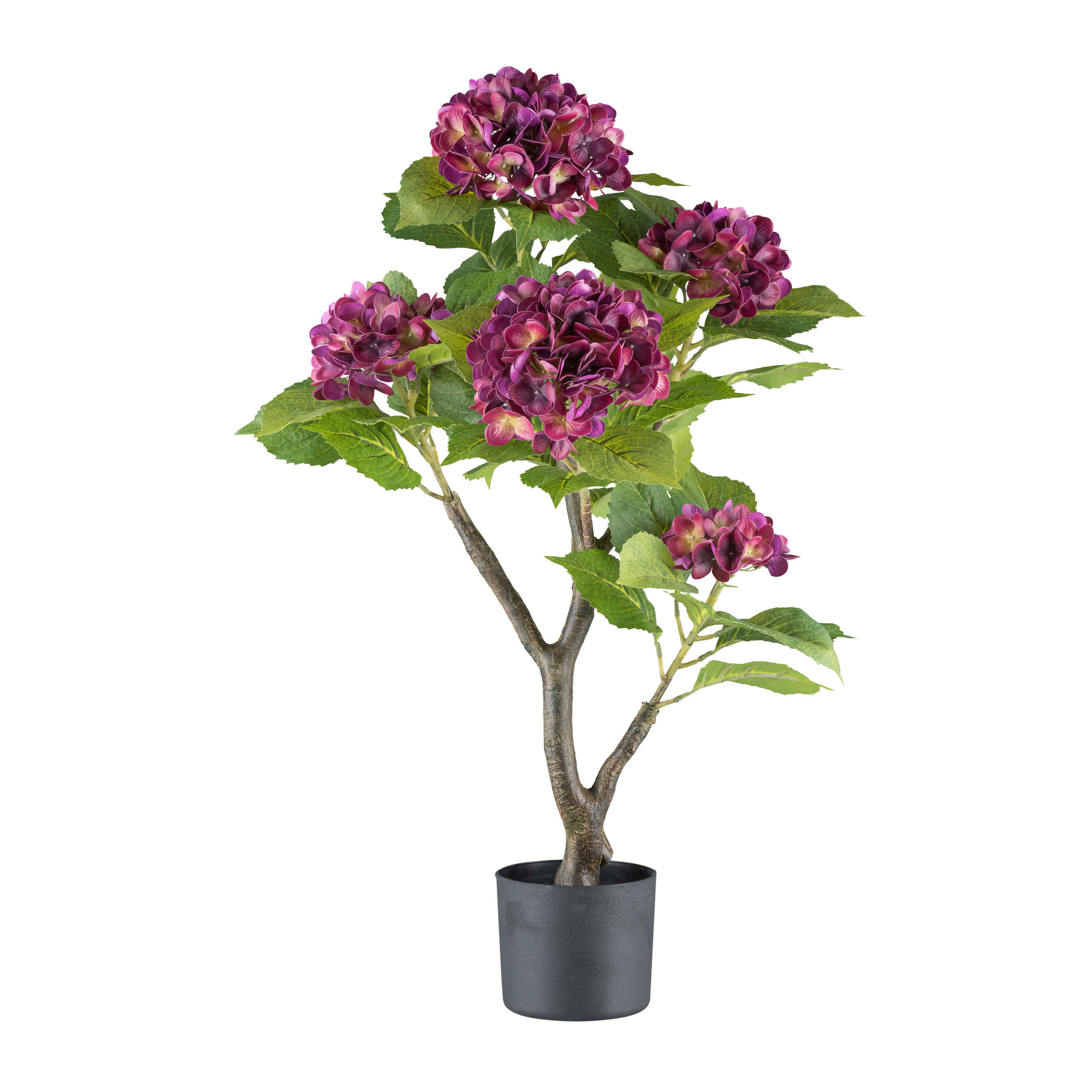 KUNSTPFLANZE Hortensie 85 cm  - Lila/Schwarz, Design, Kunststoff (85cm) - P & B