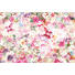 VLIESTAPETE - Multicolor, Papier (368/248/cmcm) VLIESTAPETE - Multicolor, Papier (368/248/cmcm)