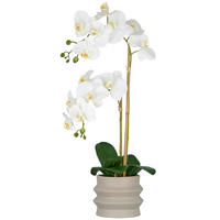 KUNSTPFLANZE Orchidee 56 cm  - Sandfarben/Greige, Basics, Keramik/Kunststoff (56cm)