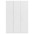 DREHTÜRENSCHRANK 151/235/61 cm,  in Weiß, 3-türig  - Weiß, Basics, Holzwerkstoff/Metall (151/235/61cm) - Novel