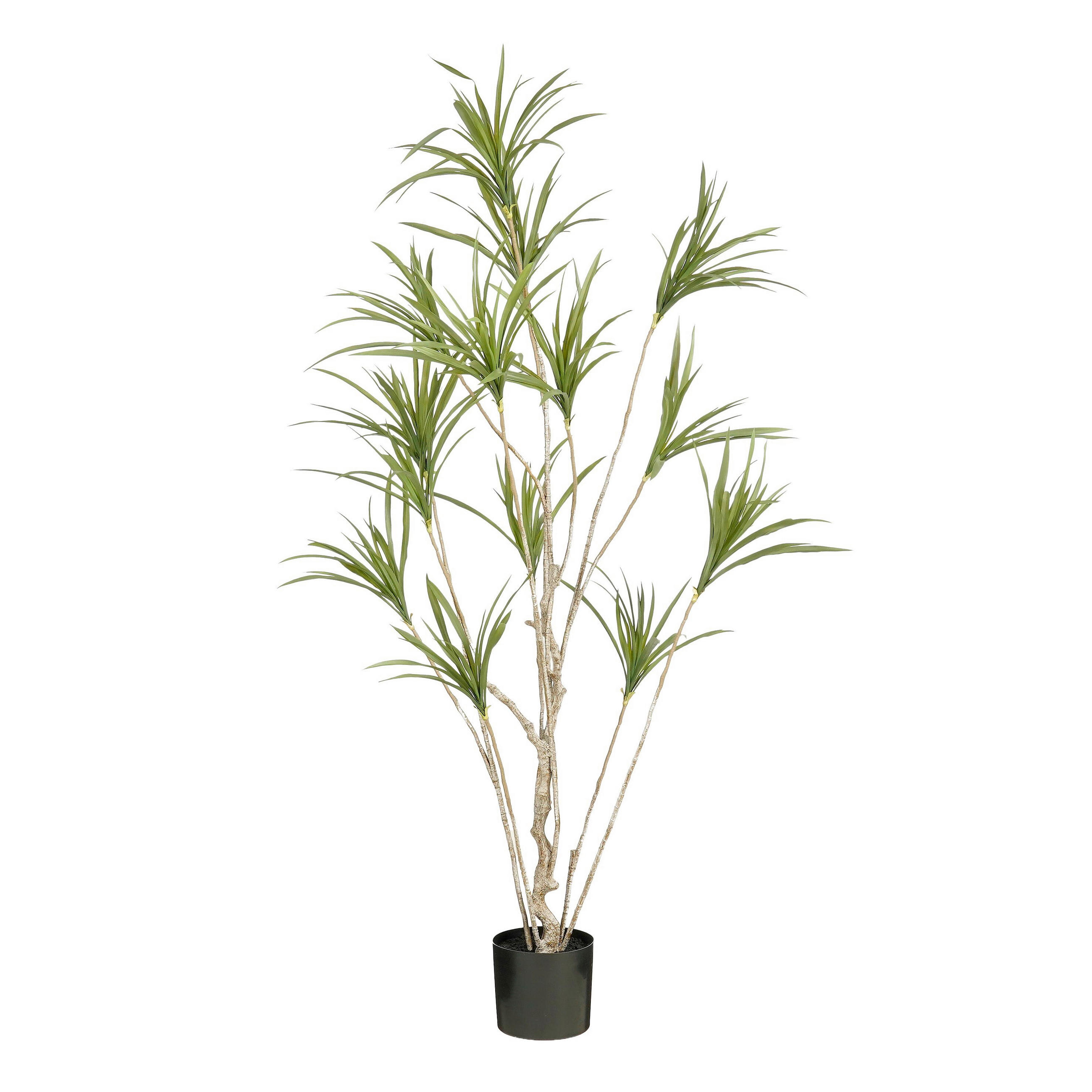 VEŠTAČKA BILJKA     100/100/180 cm         - zelena, Osnovno, plastika (100/100/180cm)