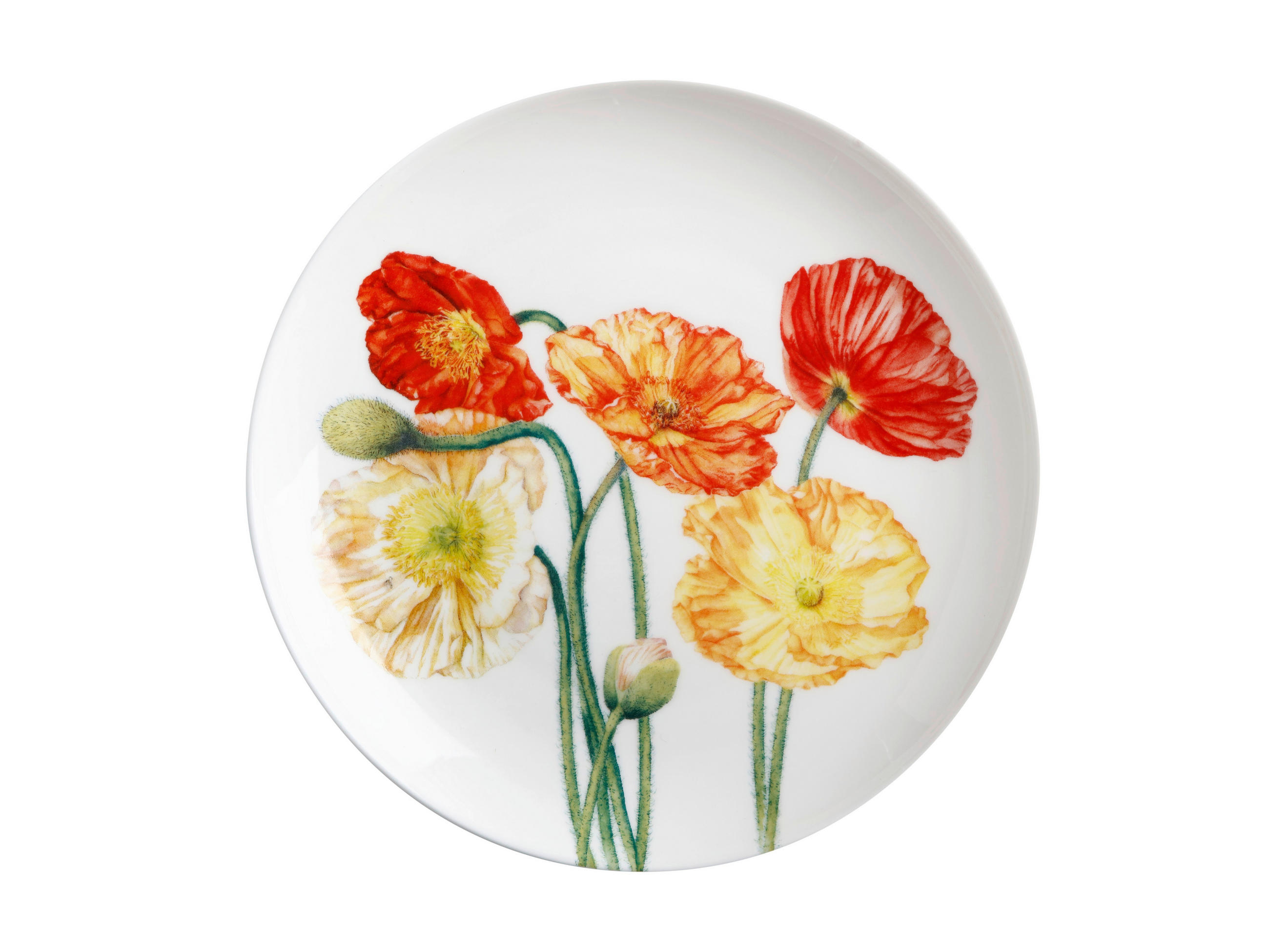 FARFURIE  - Basics, ceramică (20/20/0cm)