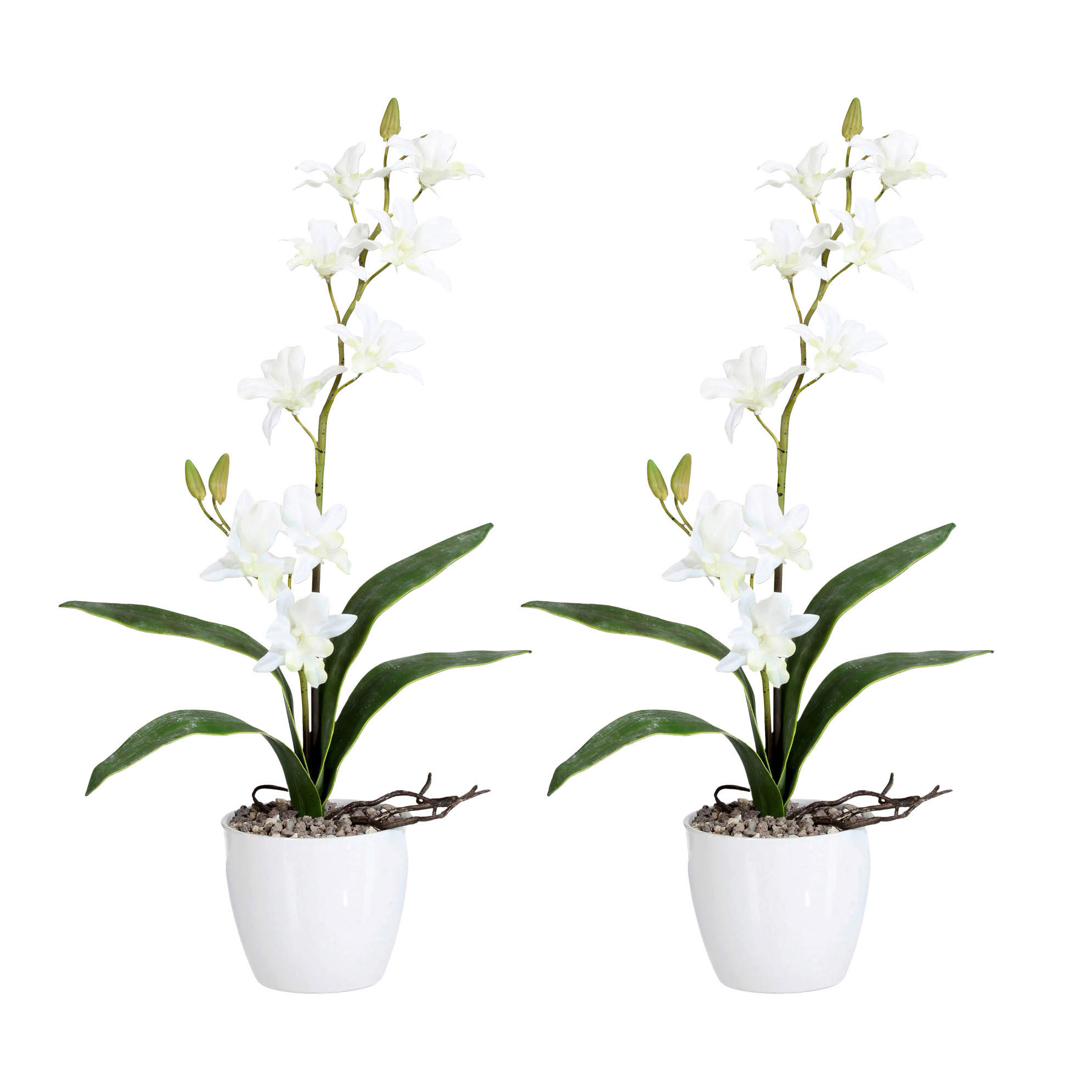 KUNSTPFLANZE Orchidee 60 cm  - Weiß/Grün, Design, Keramik/Kunststoff (60cm) - P & B