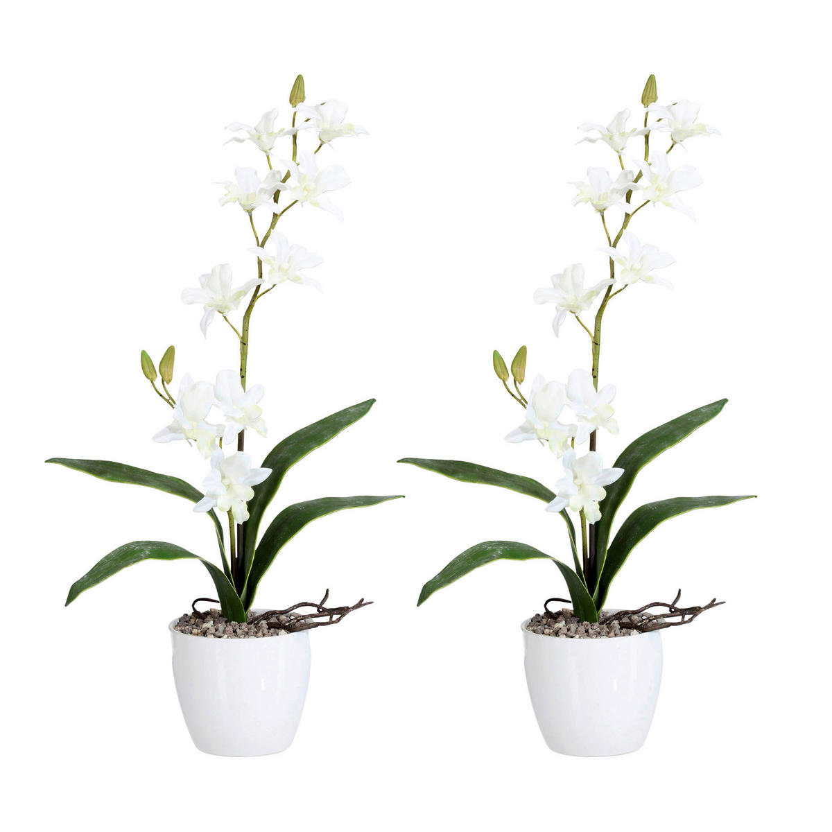 KUNSTPFLANZE Orchidee 60 cm  - Weiß/Grün, Design, Keramik/Kunststoff (60cm) - P & B