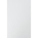 TÜR 45/66/1,6 cm   - Weiß Hochglanz, KONVENTIONELL, Holzwerkstoff (45/66/1,6cm) - Hom`in