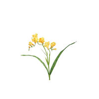 FREESIE - Gelb/Grün, LIFESTYLE, Kunststoff/Textil (56cm)