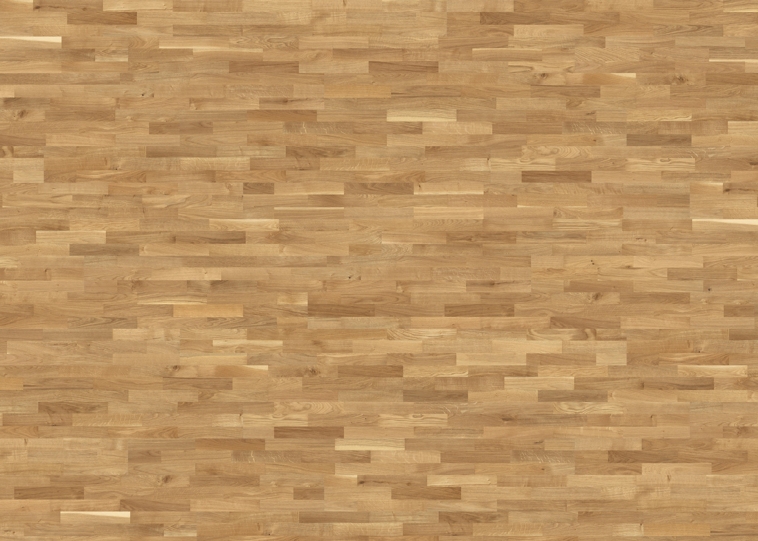 PARKETTBODEN Living by HARO PARKETT 2500 SB  per  m² - Eichefarben, Basics, Holzwerkstoff (18/220cm) - Living by HARO