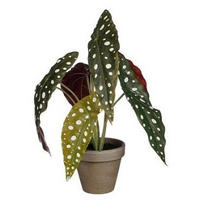 KONSTVÄXT  - grön, Basics, plast (21/28cm)