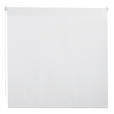 ROLLO 100/160 cm  - Weiß, Design, Kunststoff (100/160cm) - Homeware