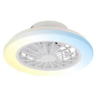 DECKENVENTILATOR 38/14 cm   - Weiß, Design, Kunststoff (38/14cm)