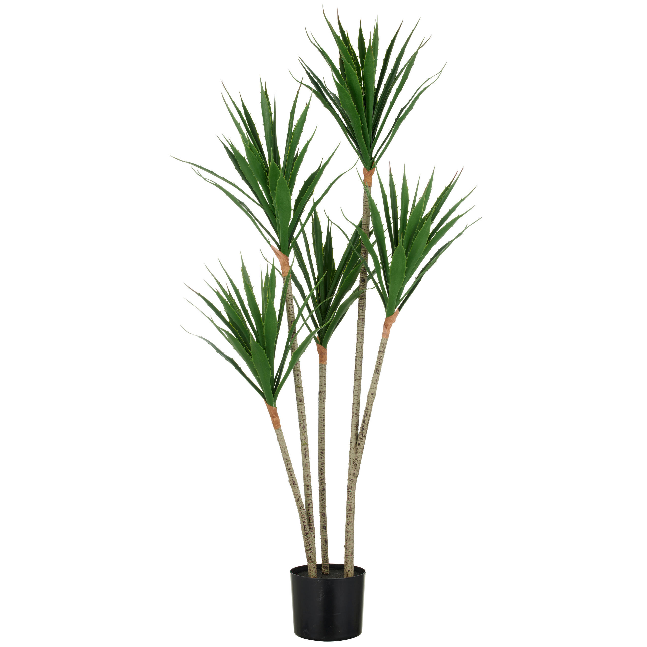 AGAVE Agave 120 cm  - Schwarz/Braun, Basics, Kunststoff (120cm) - P & B