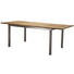 GARTENTISCH - Edelstahlfarben/Naturfarben, Design, Holz/Metall (150-210/74/90cm) - Ambia Garden GARTENTISCH - Edelstahlfarben/Naturfarben, Design, Holz/Metall (150-210/74/90cm) - Ambia Garden