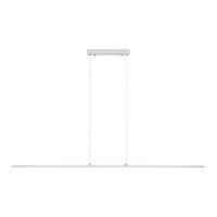 LED-HÄNGELEUCHTE 160/6/120 cm  - Silberfarben, Design, Kunststoff/Metall (160/6/120cm) - Neuhaus PURE
