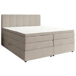 BOXSPRINGBETT 180/200 cm,  in Greige, gepolstertes Kopfteil, Bettkasten, Topper, Matratzen, H2 + H3 = mittel + fest  - Greige/Schwarz, KONVENTIONELL, Kunststoff/Textil (180/200cm) - Esposa