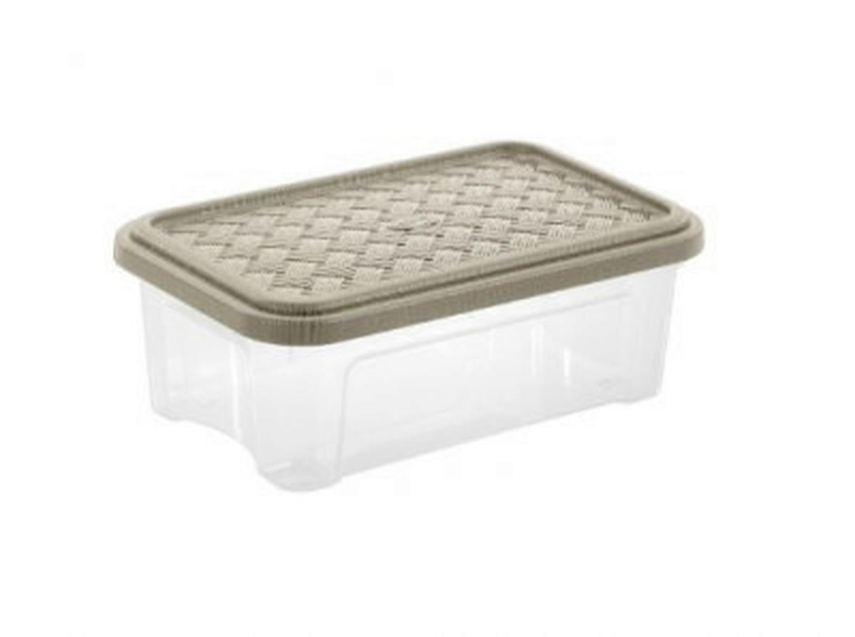 BOX S VÍKEM 2,5 l - šedobéžová, Basics, plast (26.2/17/9.6cm)