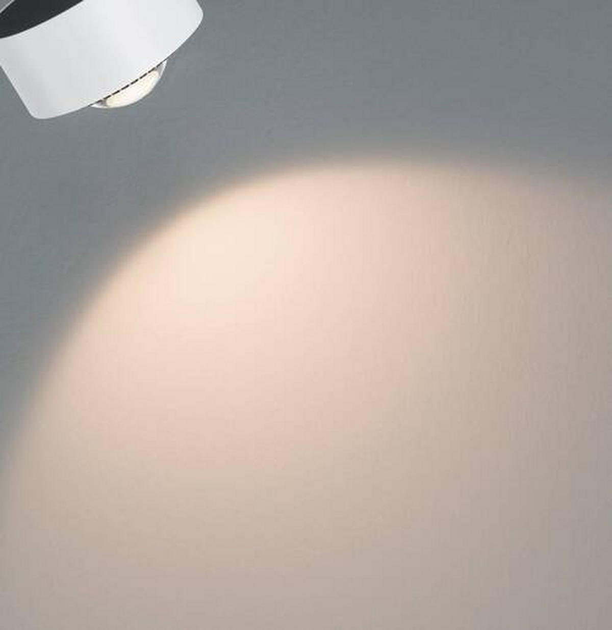 SCHIENENSYSTEM-STRAHLER Aldan II   - Schwarz/Weiß, Basics, Metall (9,8cm) - Paulmann