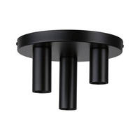 DECKENLEUCHTE 24/14,5 cm   - Schwarz, Basics, Metall (24/14,5cm) - Paulmann