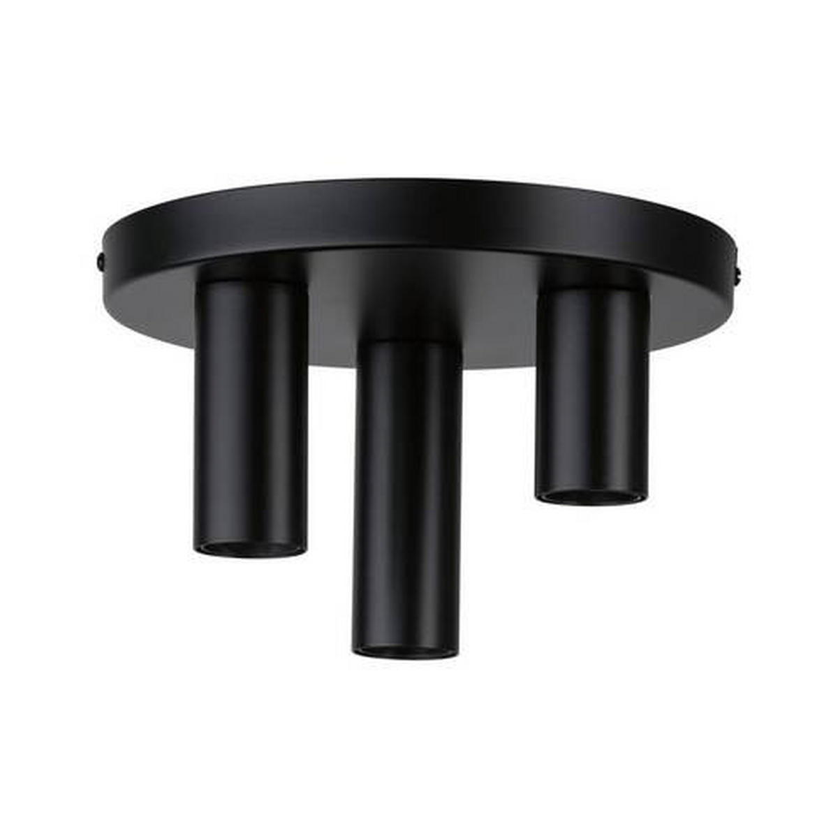 DECKENLEUCHTE 24/14,5 cm   - Schwarz, Basics, Metall (24/14,5cm) - Paulmann