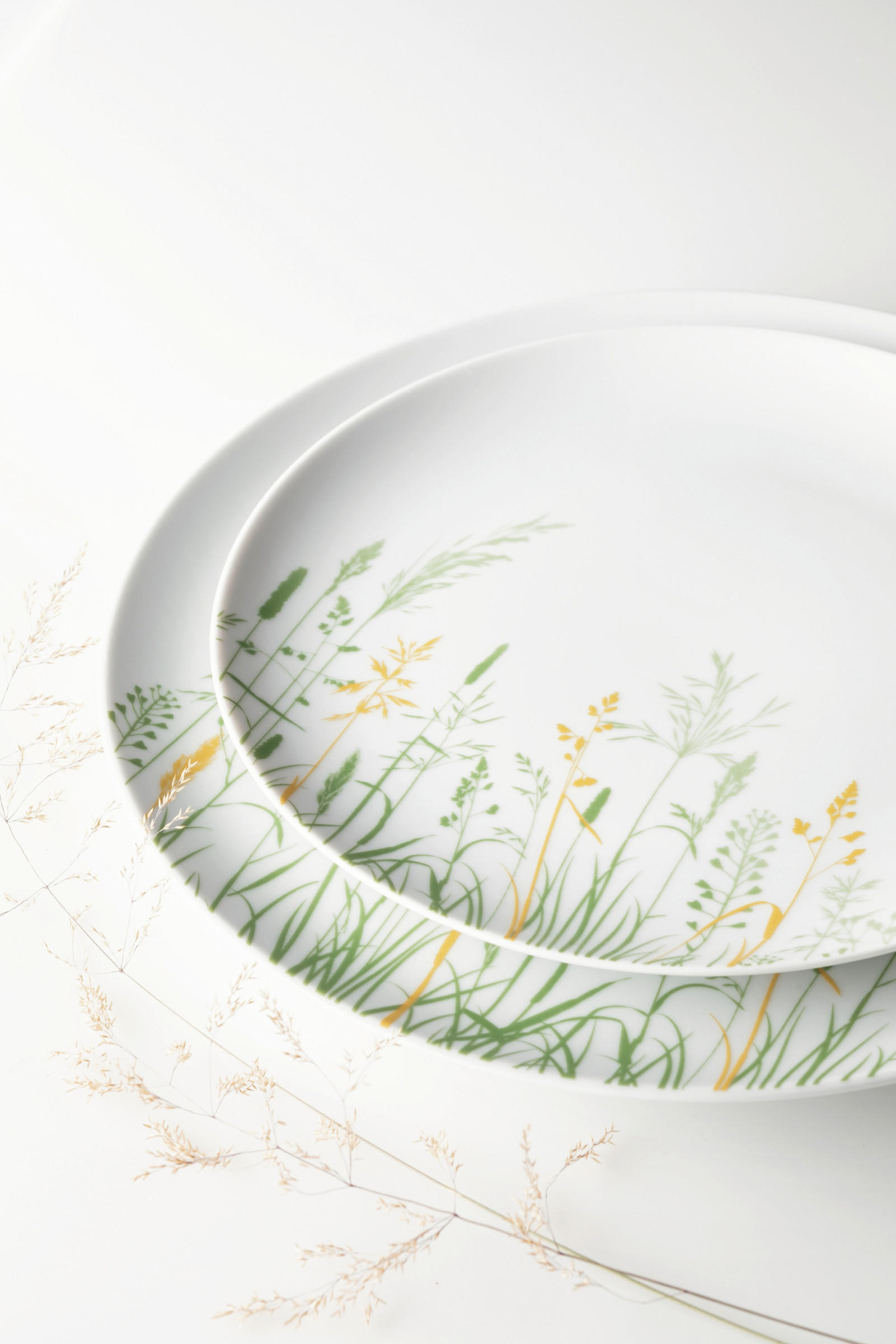TANJUR ZA DORUČAK  22,5 cm           LIBERTY MEADOW GRASSES   - bijela/zelena, Basics, keramika (22,5cm) - Seltmann Weiden
