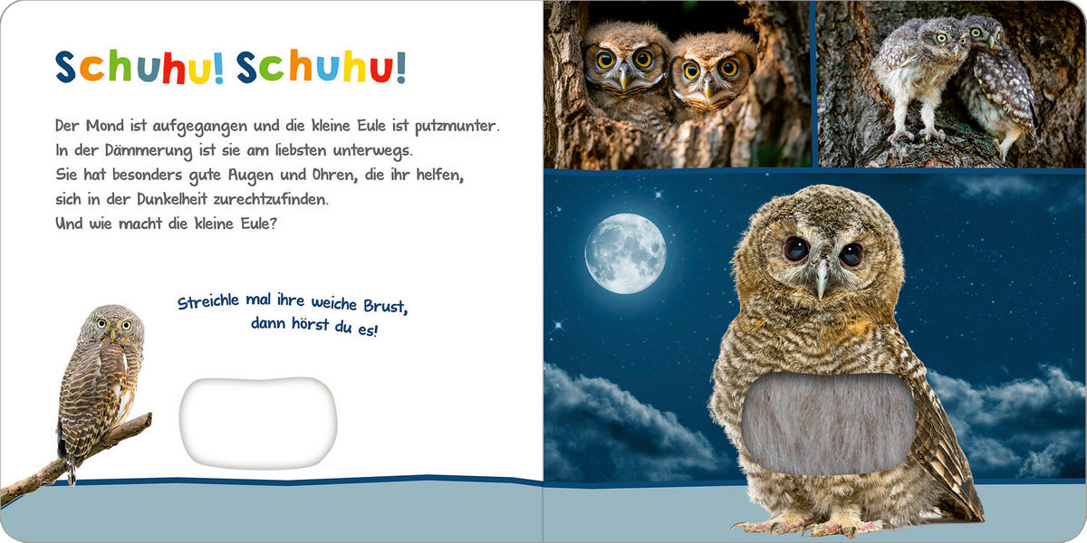 BUCH - Multicolor, Basics, Papier (19,5/19,5/1,9cm)