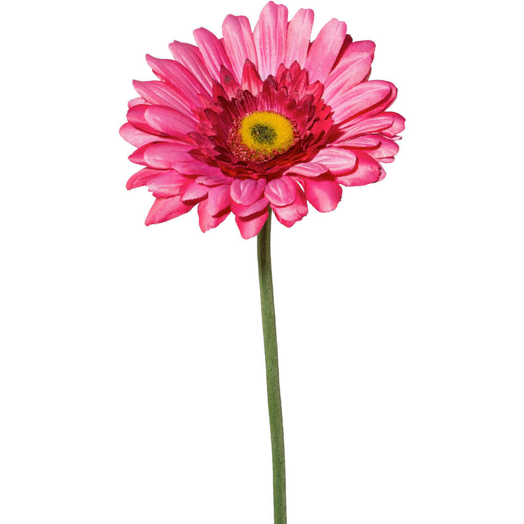 Kunstblume Gerbera Rosa L: ca. 63cm, Amra