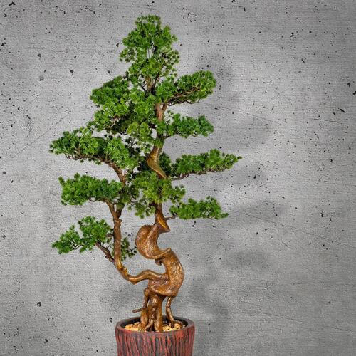 KUNSTPFLANZE Bonsai 125 cm  - Braun/Grün, Basics, Kunststoff (125cm) - P & B