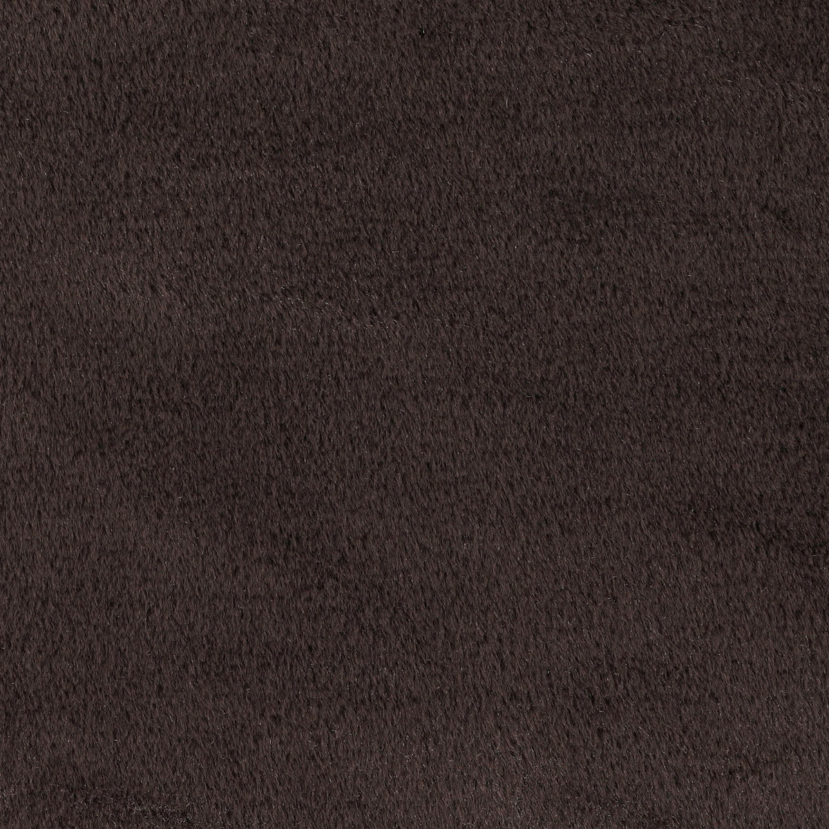 BIGSOFA Flachgewebe Creme  - Dunkelbraun/Beige, Design, Textil/Metall (275/80/123cm) - Lomoco