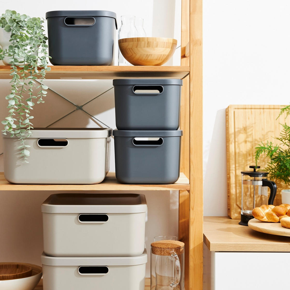 BOX MIT DECKEL    39,5/35,5/17,7 cm  - Cappuccino, Basics, Kunststoff (39,5/35,5/17,7cm) - Rotho