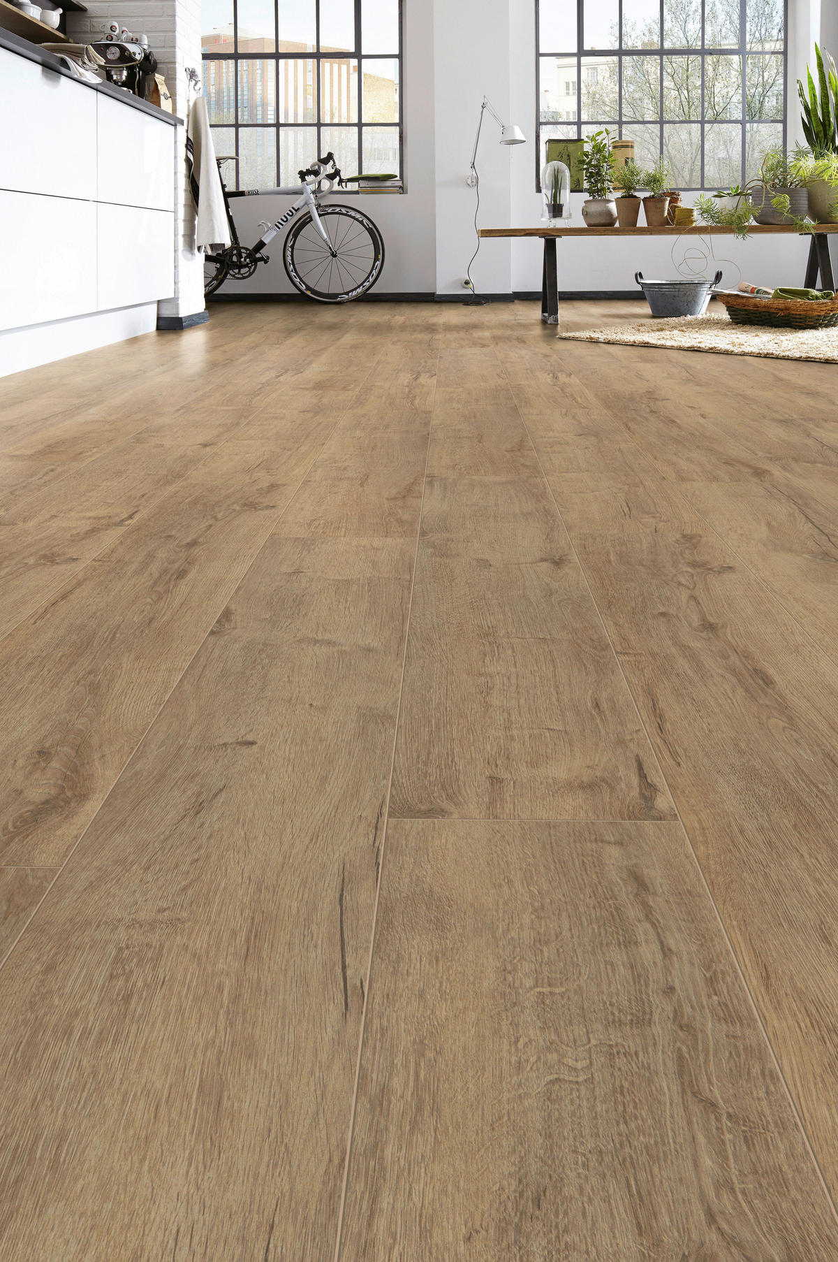 LAMINATBODEN Superior Advanced  - Eichefarben, KONVENTIONELL, Holz (138.0/19.3/0.8cm)